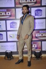 at ZEE Gold Awards on 9th June 2016
